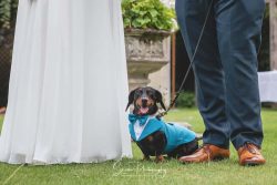 morley hayes derby wedding photography bride groom and dog k9